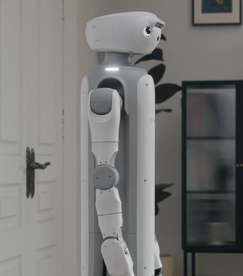 Embodied AI Home Service Robot