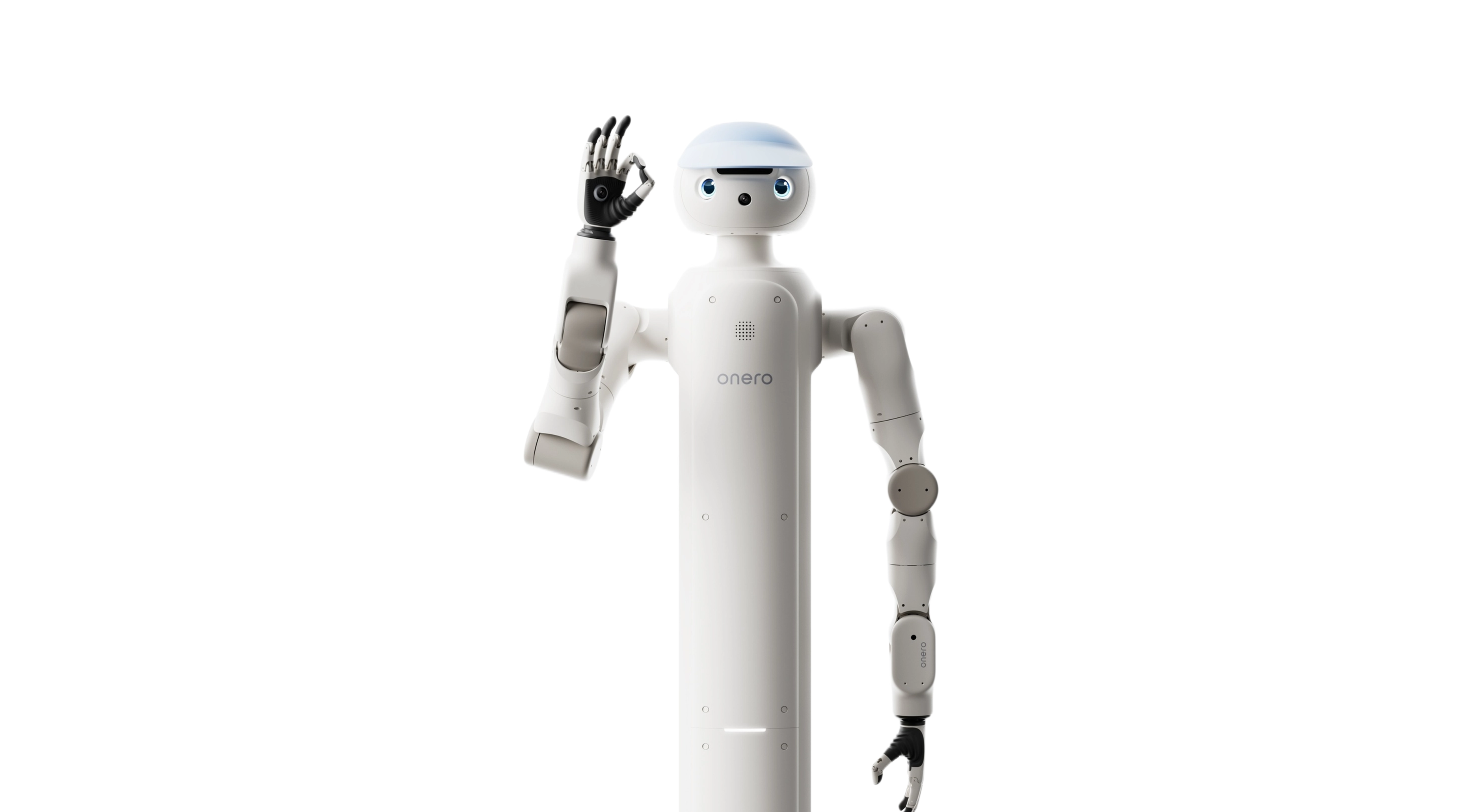 Embodied AI Home Service Robot